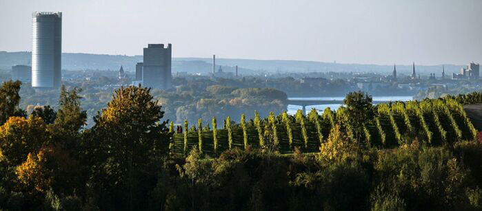 Bonn, Ausbildung, Fitness, Gesundheit, Akademie