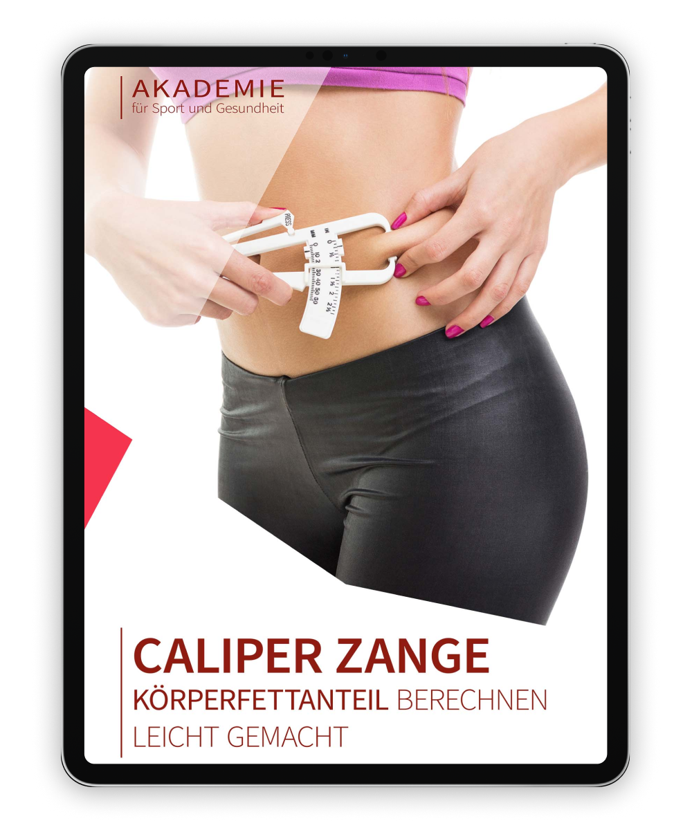 Anleitung Caliper Zange