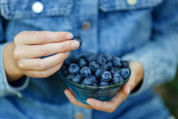 Blaubeeren: Superfood für das Gedächtnis