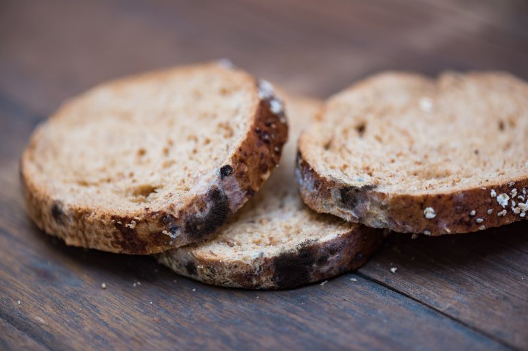 Verschimmeltes Brot