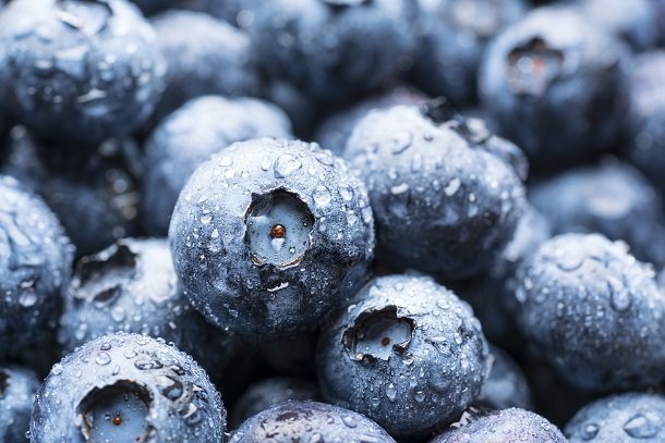 Heidelbeeren gegen freie Radikale