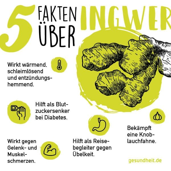 5 Fakten über Ingwer (Infografik)