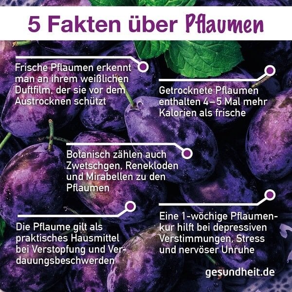 5 Fakten über Pflaumen (Infografik)