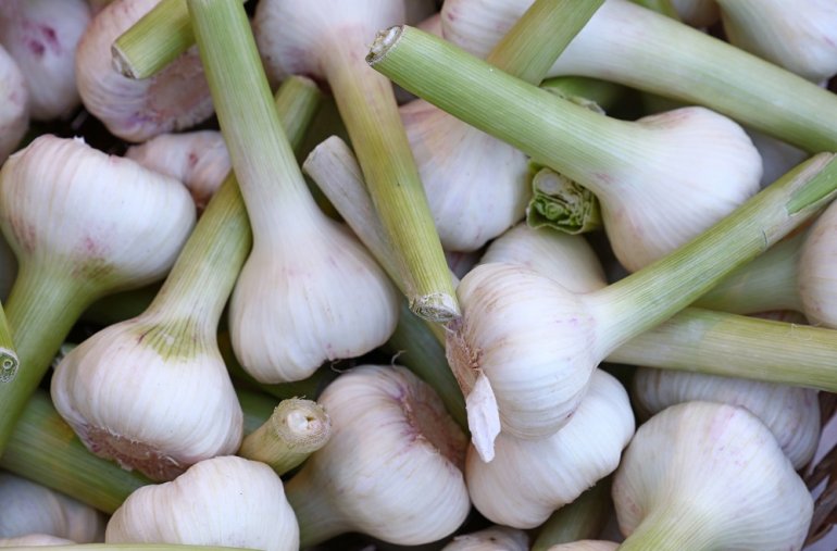 Knoblauch