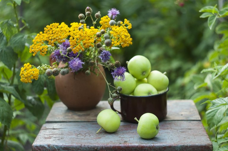 Äpfel lösen Kreuzallergien aus