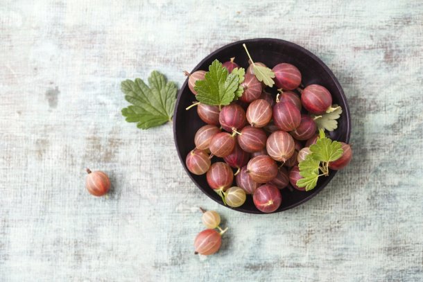 Stachelbeeren: süße Früchte mit wenigen Kalorien