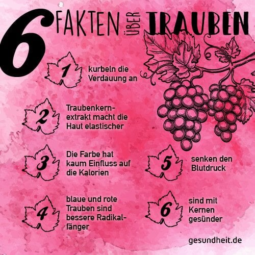 6 Fakten über Trauben (Infografik)