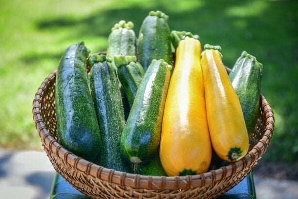 Zucchini punktet mit wenigen Kalorien